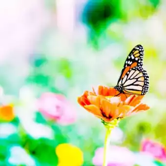 Spring forward with Daikin’s new stylish wall-mounted indoor unit for commercial offers and bigger premisses - FAA SkyAir