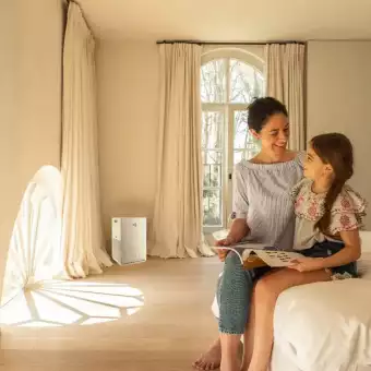 Air purifiеr MC30W Streamer Mini